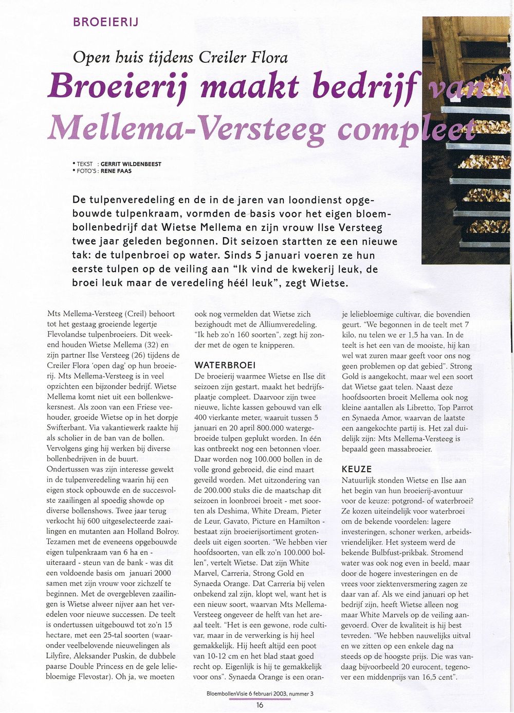 Artikel bloembollen visie pg1